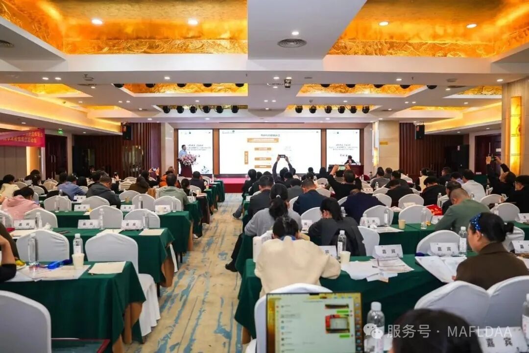 会议速递｜湖南省代谢相关脂肪性肝病学术联盟成立暨《病证结合MAFLD全国多中心注册登记研究》启动会圆满召开